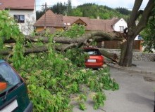 Kwikfynd Tree Cutting Services
bundabergeast